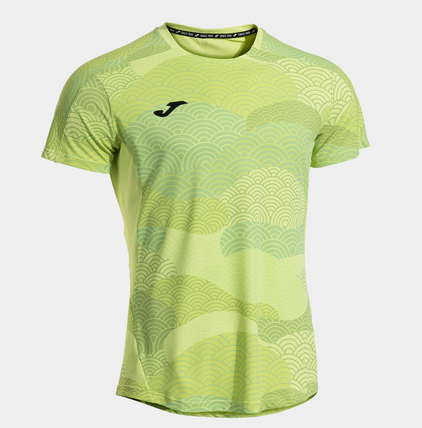 CHALLENGE SHORT SLEEVE T-SHIRT-Pánské tenisové triko zelené