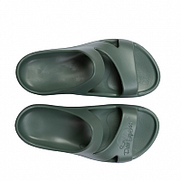 Aequos Dolphin Oliva